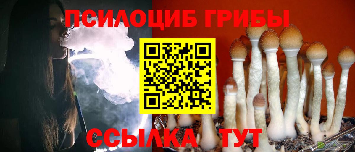 Галлюциногенные грибы мухоморы Печора